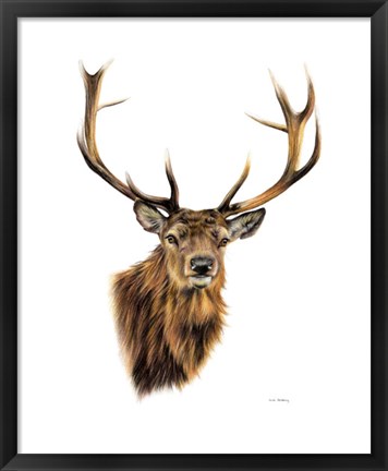 Framed Stag White Background Print