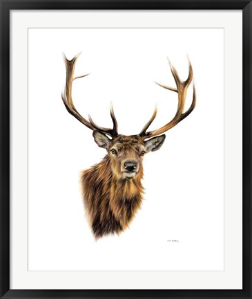 Framed Stag White Background Print