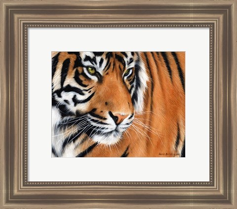 Framed Tiger Crop Print