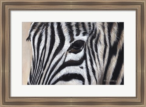 Framed Zebra Eyes Print