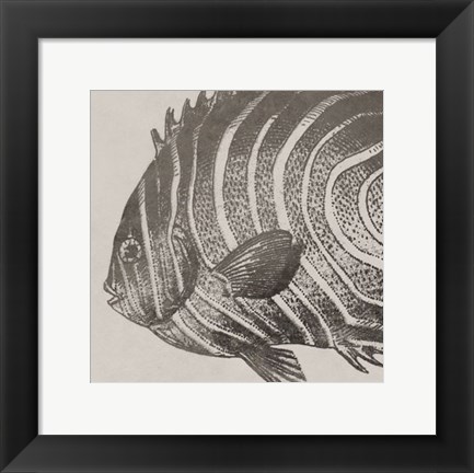 Framed Vintage Fish II Print