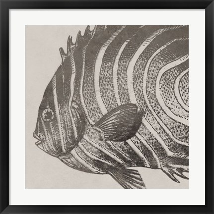 Framed Vintage Fish II Print