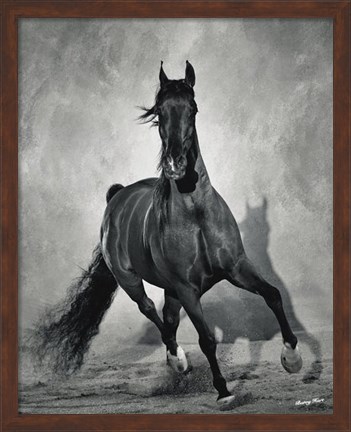 Framed Struttin His Stuff Print