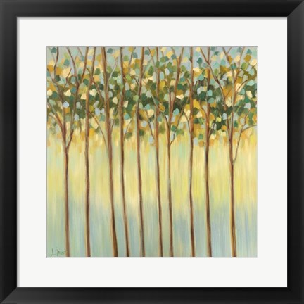 Framed Awakening Tree Tops Print