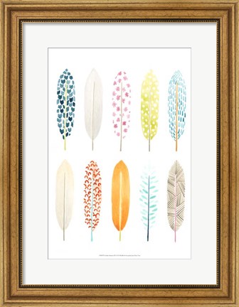 Framed Feather Patterns II Print