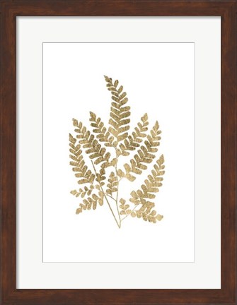 Framed Graphic Gold Fern II Print