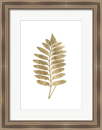 Framed Graphic Gold Fern III Print