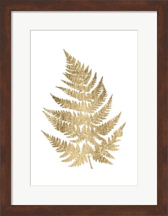 Framed Graphic Gold Fern IV Print