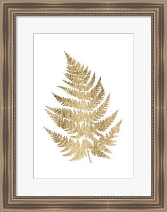 Framed Graphic Gold Fern IV Print