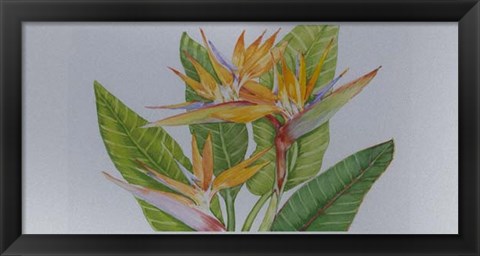 Framed Exotic Flowers II Print