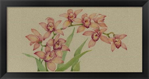 Framed Exotic Flowers III Print