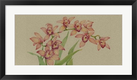 Framed Exotic Flowers III Print