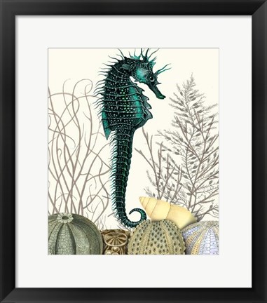 Framed SeaHorse and Sea Urchins Print