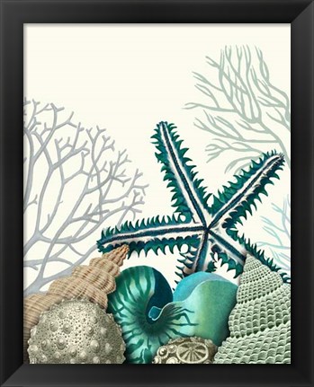 Framed Starfish Under the Sea Print