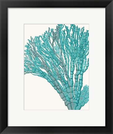 Framed Blue Underwater Scenes 1 f Print