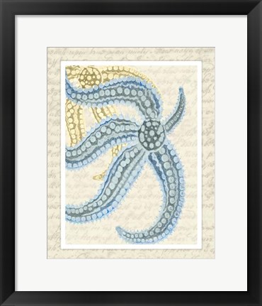 Framed Blue Corals On VIntage Script a Print