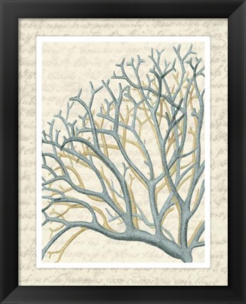 Framed Blue Corals On VIntage Script b Print