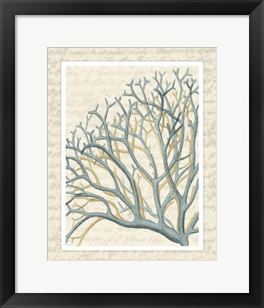 Framed Blue Corals On VIntage Script b Print