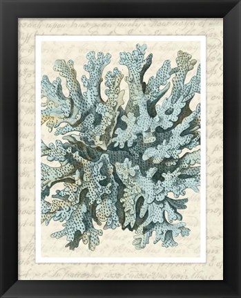 Framed Blue Corals On VIntage Script c Print