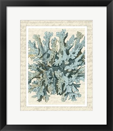 Framed Blue Corals On VIntage Script c Print