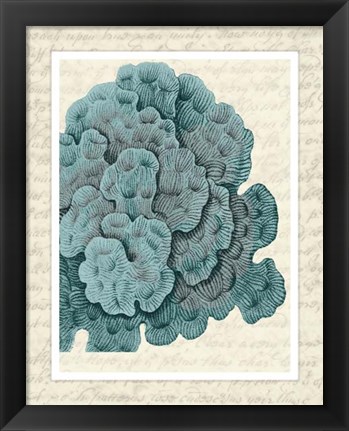 Framed Blue Corals On VIntage Script e Print