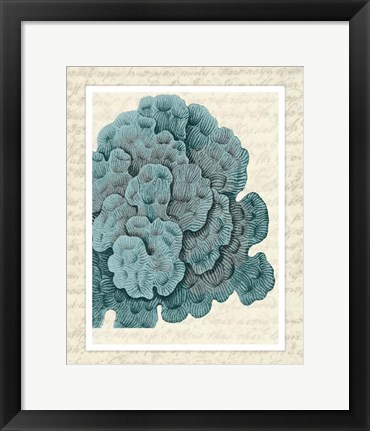 Framed Blue Corals On VIntage Script e Print