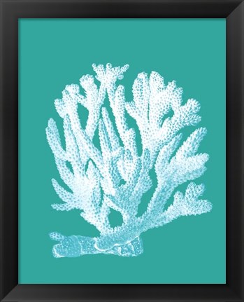 Framed Coral 1 White On Turquoise Print