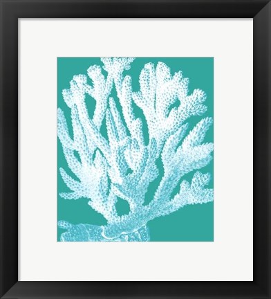 Framed Coral 1 White On Turquoise Print