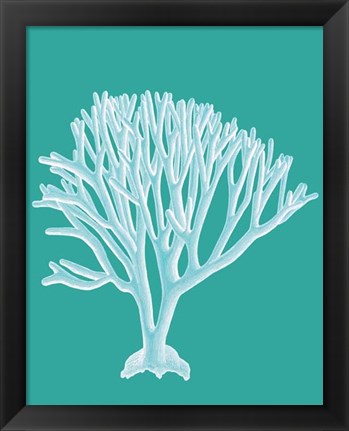 Framed Coral 2 White on Turquoise Print