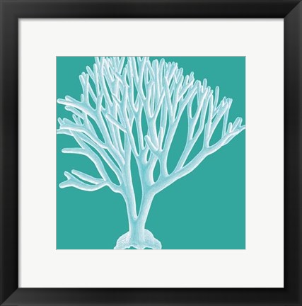 Framed Coral 2 White on Turquoise Print