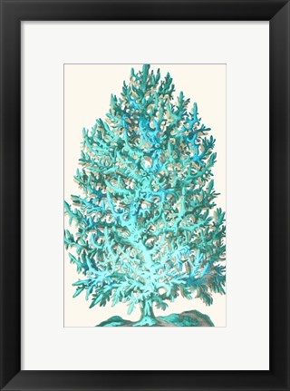 Framed Coral Tree Turquoise on Cream Print