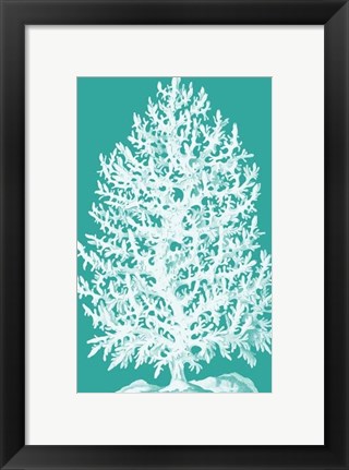 Framed Coral Tree White on Turquoise Print