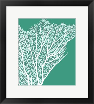 Framed Turquoise Coral Prints c Print