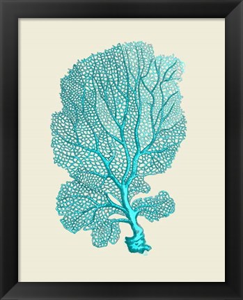 Framed Corals Turquoise On Cream c Print