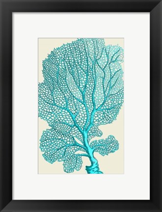 Framed Corals Turquoise On Cream c Print