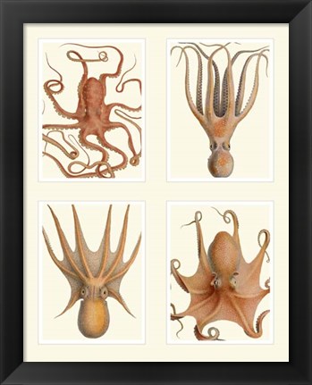 Framed Octopus on 4 Panels Print