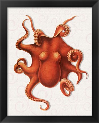 Framed Octopus 4 Orange Print