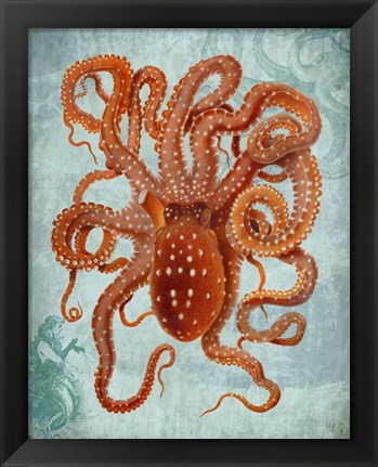 Framed Octopus 2 Print