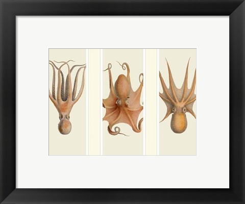 Framed Trio of Octopus on 3 Panels Print