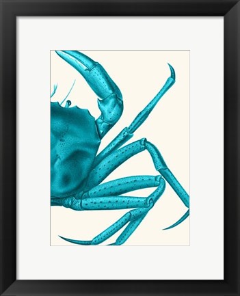 Framed Contrasting Crab in Turquoise a Print