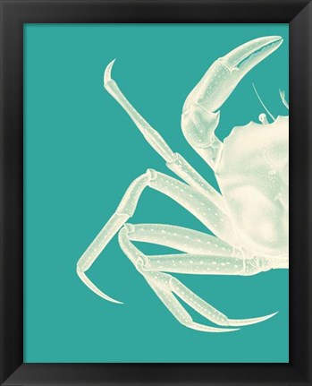 Framed Contrasting Crab in Turquoise b Print