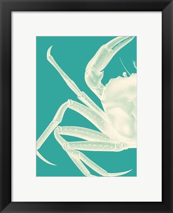 Framed Contrasting Crab in Turquoise b Print