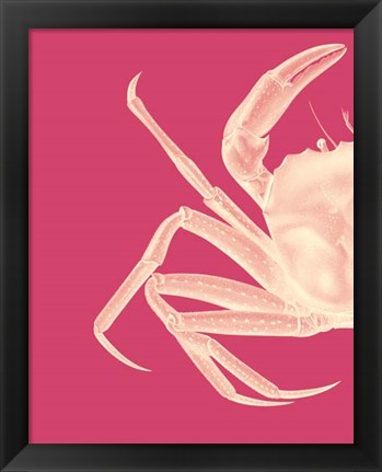 Framed Contrasting Crab in Pink a Print