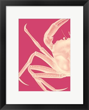 Framed Contrasting Crab in Pink a Print