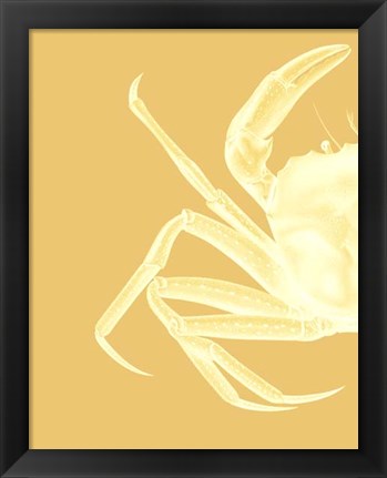 Framed Contrasting Crab in Mustard a Print