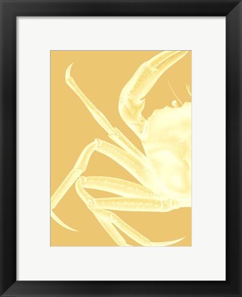 Framed Contrasting Crab in Mustard a Print