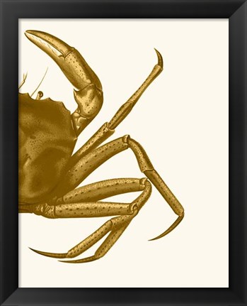 Framed Contrasting Crab in Mustard b Print