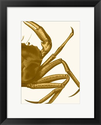 Framed Contrasting Crab in Mustard b Print