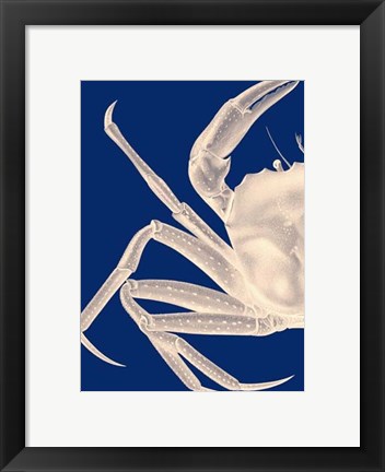 Framed Contrasting Crab in Navy Blue a Print