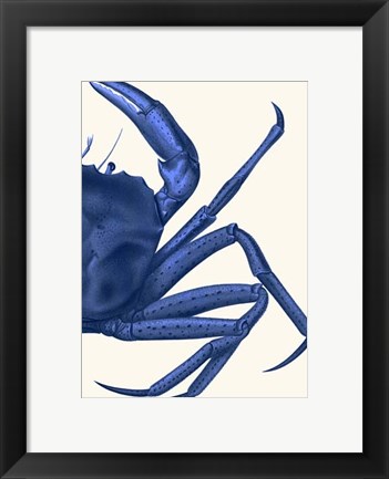 Framed Contrasting Crab in Navy Blue b Print